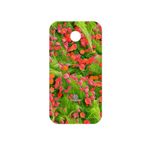 MAHOOT Atom Universe 3 Cover Sticker for Huawei Ascend Y330