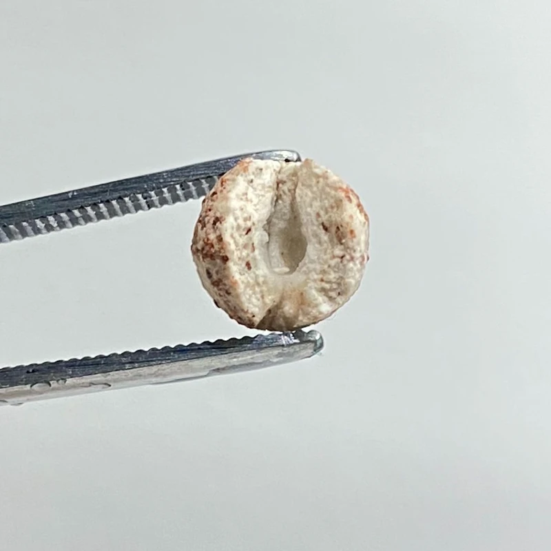 عکس شماره 6 : سرامیک آکواریوم آلیتا مدل media ball alita حجم 1.2 لیتر