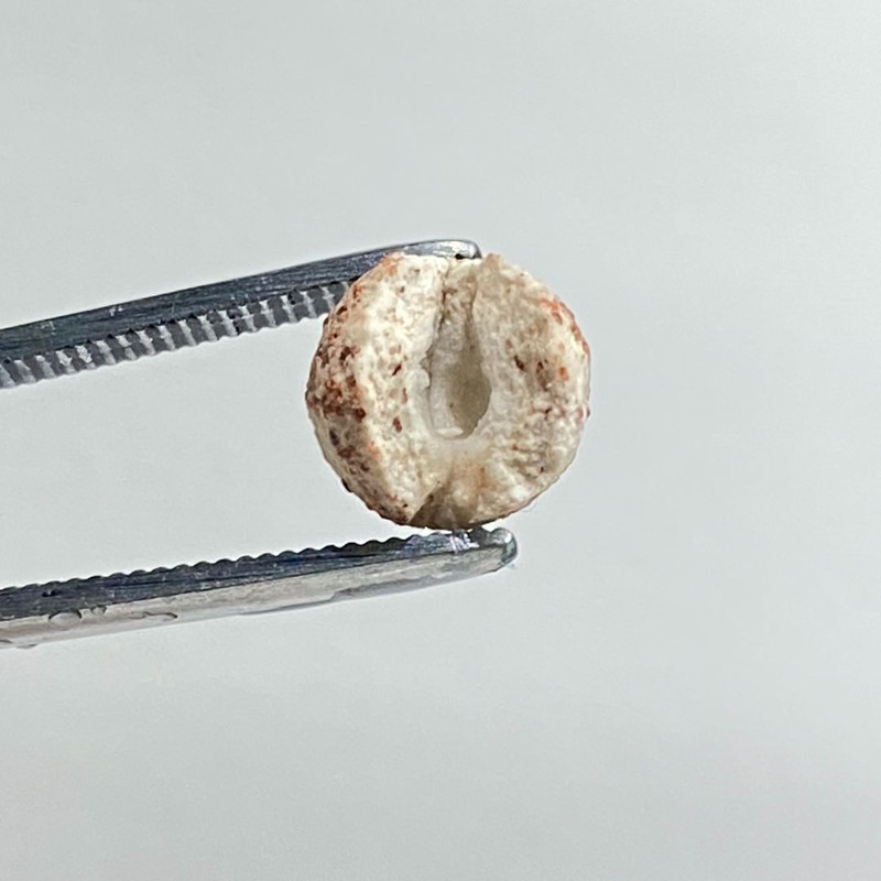 سرامیک آکواریوم آلیتا مدل Media Ball ALITA حجم 1.2 لیتر