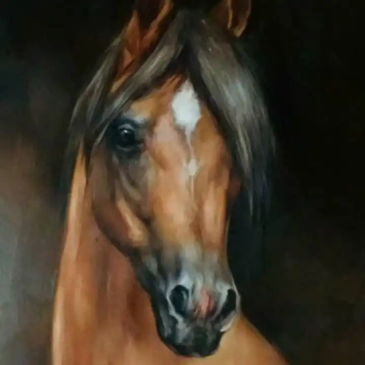 تابلو نقاشی رنگ روغن مدل اسب عربی کد 2
