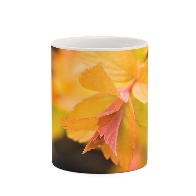 ماگ کاکتی مدل پاییز کد mgh19332