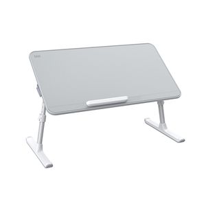 پایه نگهدارنده لپ تاپ سایجی مدل AL30