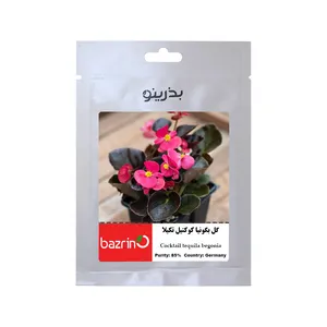 بذر گل بگونیا کوکتیل تکیلا بذرینو کد BZNO-093