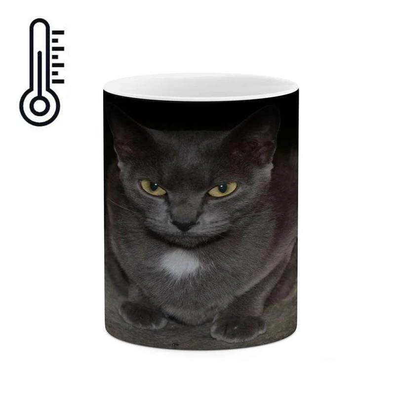 ماگ حرارتی کاکتی مدل گربه کد mgh14654