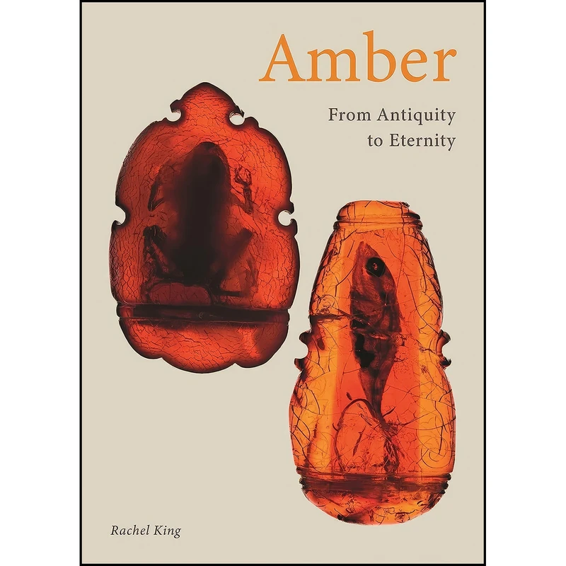 کتاب Amber اثر Rachel King انتشارات Reaktion Books