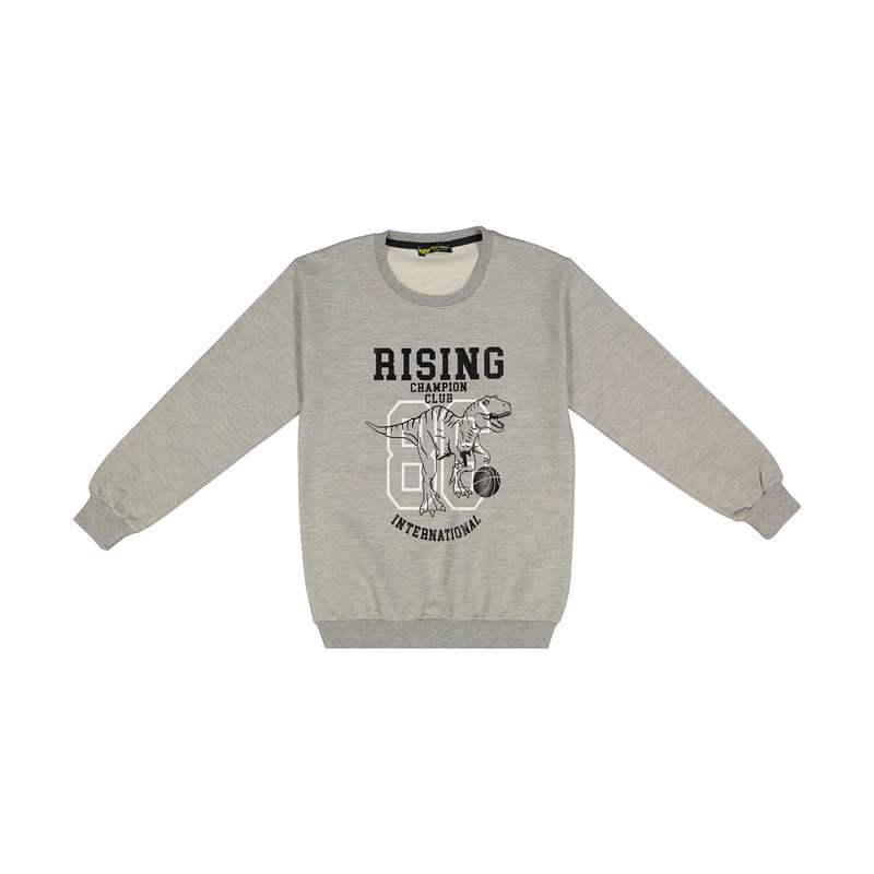 سویشرت پسرانه خرس کوچولو مدل 2011236-93