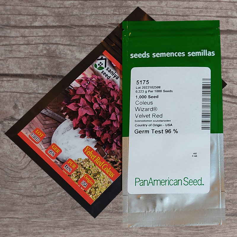 بذر گل حسن یوسف واولت رد سانیا سید مدل H9 مجموعه 3 عددی