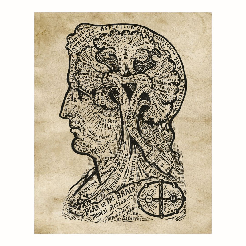 پوستر مدل  چاپ کتاب زندگی با هنر فرنولوژی  