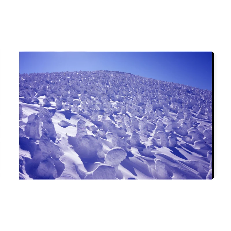 تابلو شاسی عرش طرح گردشگری ژاپن مدل هیولاهای برفی در کوه زائو کد As6250