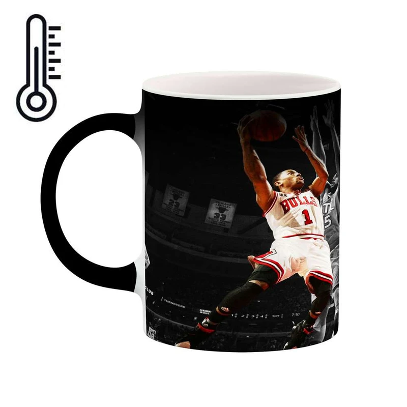 ماگ حرارتی کاکتی مدل Derrick Rose کد mgh11953