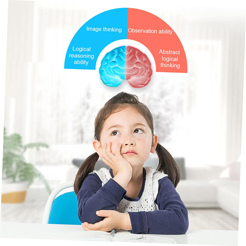 پازل آموزشی مدل جورچین مراحل رشد خروس