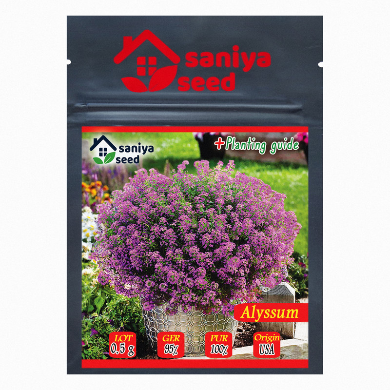 بذر گل آلیسوم بنفش سانیا سید مدل S2