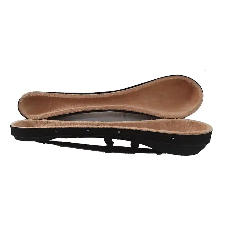 هارد کیس سه تار مدل سنتی