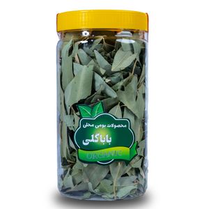 برگ اکالیپتوس ممتاز باباگلی - 60 گرم