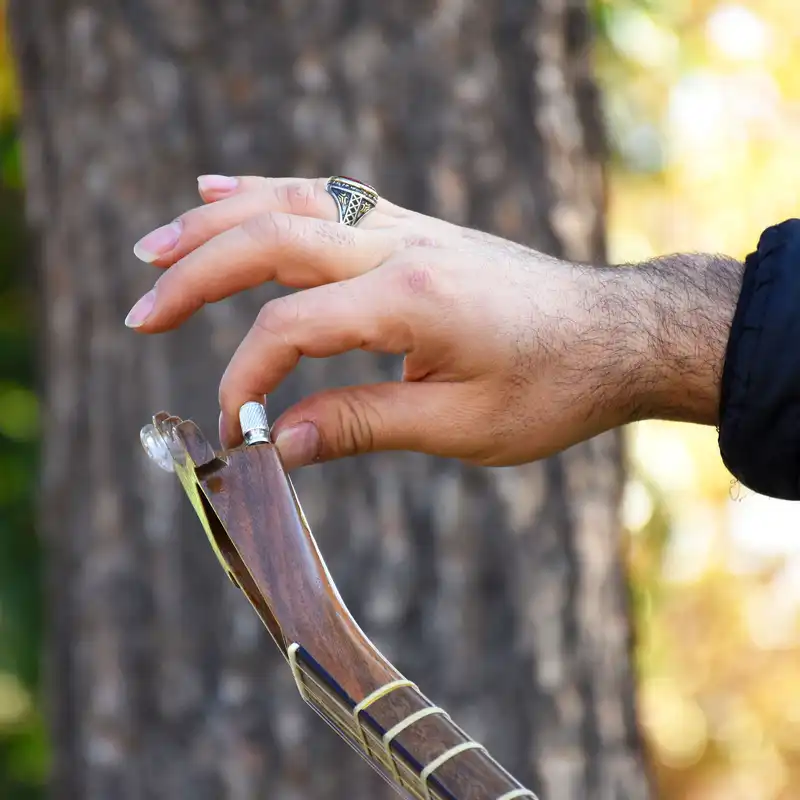 سه تار ایران ساز مدل راز عشق