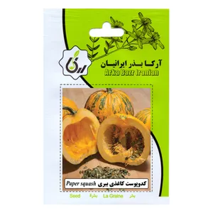 بذر کدو پوست کاغذی ببری آرکا بذر ایرانیان مدل B103