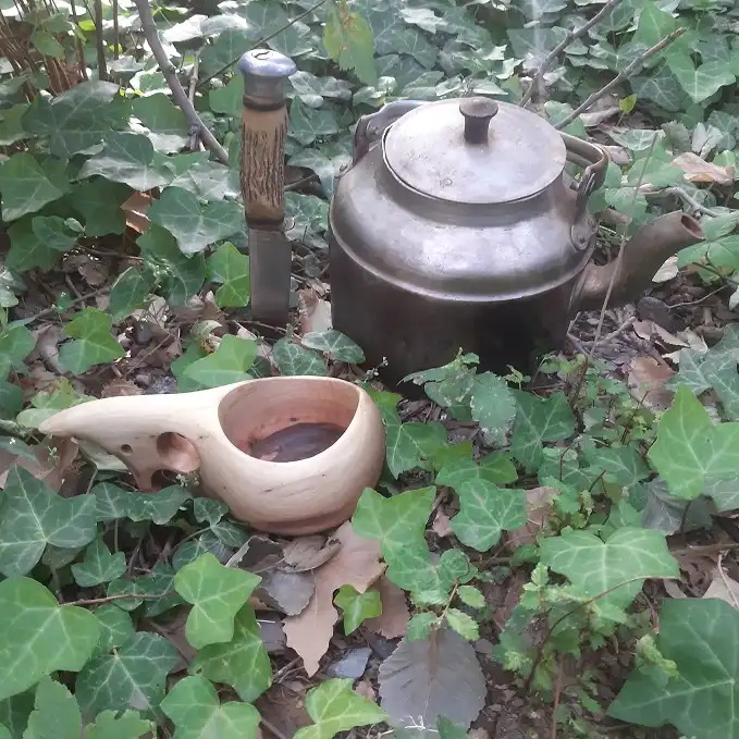 لیوان چوبی مدل کوکسا آرشید