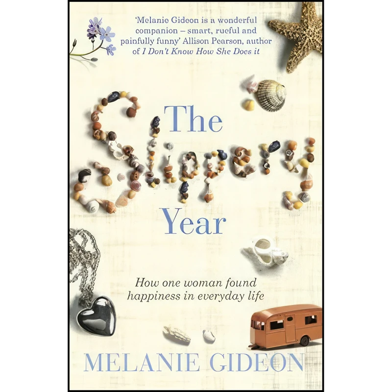 کتاب Slippery Year اثر Melanie Gideon and Melanie Gideon انتشارات Orion