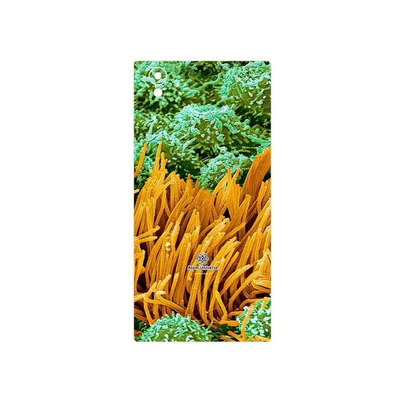 برچسب پوششی ماهوت مدل Atom Universe 6 مناسب برای گوشی موبایل سونی Xperia L1