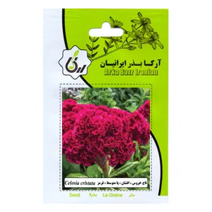 بذر  تاج خروس افشان پا متوسط قرمز آرکا بذر ایرانیان مدل C53