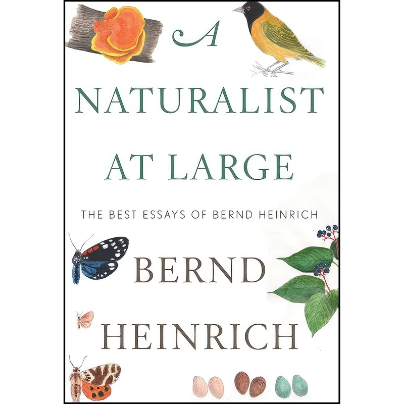 کتاب A Naturalist At Large اثر Bernd Heinrich انتشارات Mariner Books