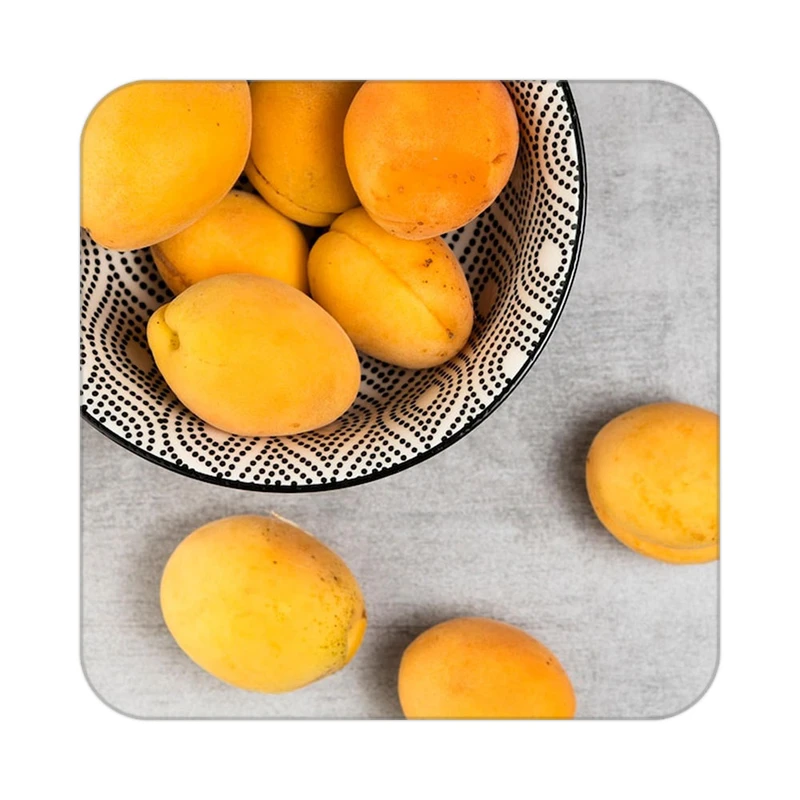 زیر لیوانی کاکتی طرح میوه مدل mp20235