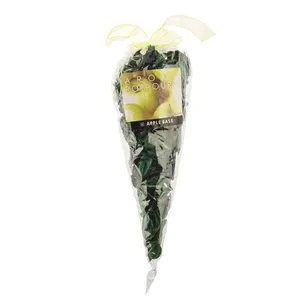 گل خشک معطر Pot Pourri مدل Apple Base6
