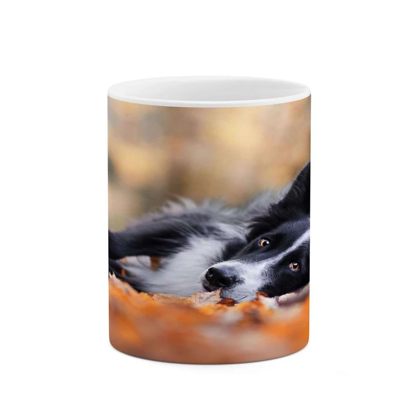 ماگ کاکتی مدل سگ کد mgh14426