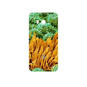 MAHOOT Atom Universe 6 Cover Sticker for HTC U11