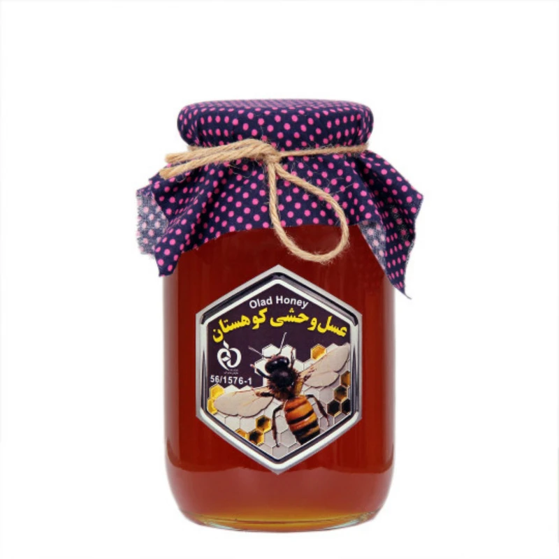 عسل طبیعی وحشی کوهستان اولاد - ۹۸۰ گرم 