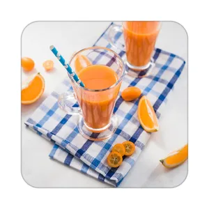 زیر لیوانی کاکتی طرح میوه مدل mp22124