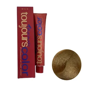رنگ مو توژور سری Beige شماره 9.13 حجم 100 میلی لیتر رنگ بلوند طلایی خاکستری خیلی روشن