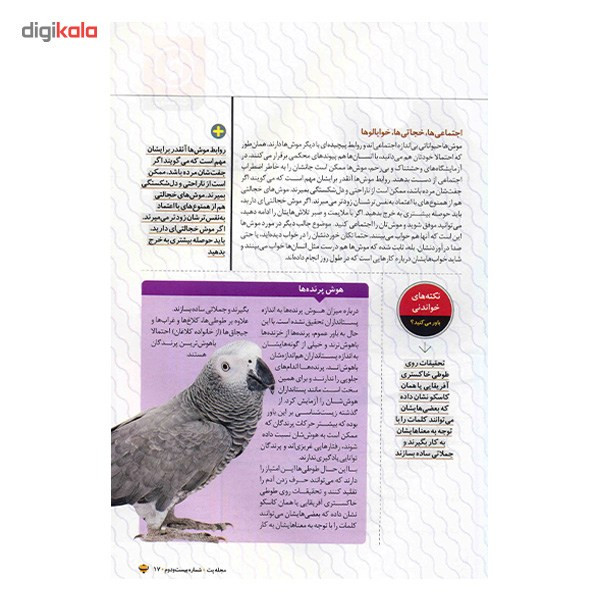 مجله پت - شماره بیست و دوم