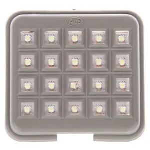 ACE Pride LED Roof Light