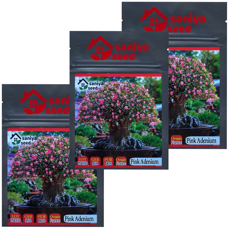 بذر بنسای آدنیوم صورتی سانیا سید مدل w3 مجموعه 3 عددی 