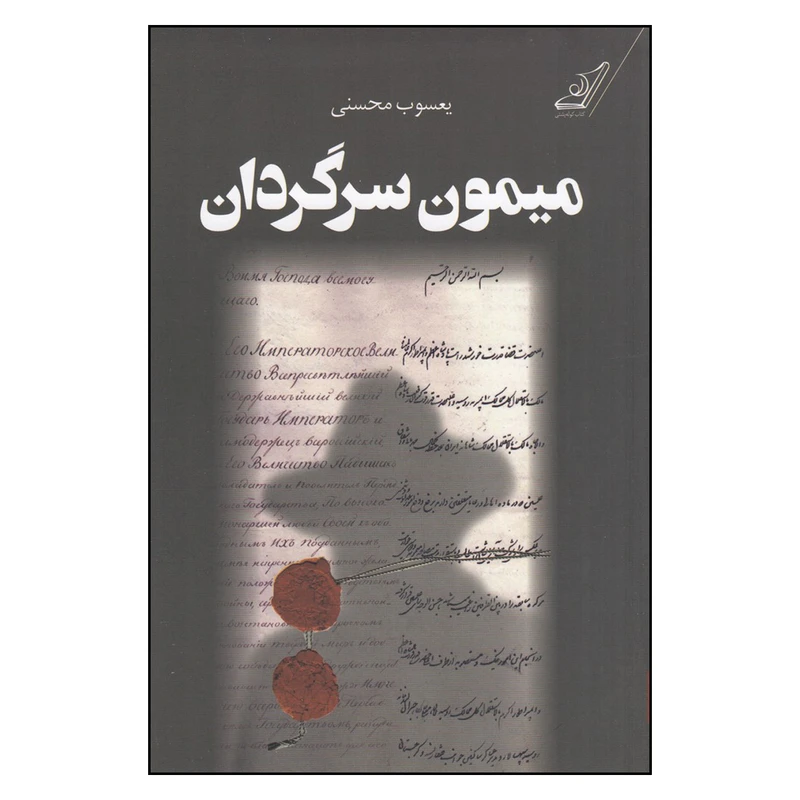 کتاب  میمون سرگردان اثر  یعسوب محسنی انتشارات کتاب کوله پشتی