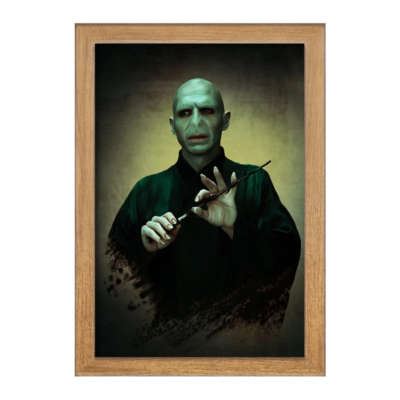 تابلو خندالو مدل هری پاتر (Harry Potter) کد F849