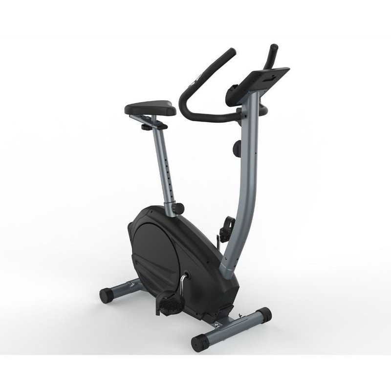 دوچرخه ثابت هاوس فیت مدل LOTUS B1