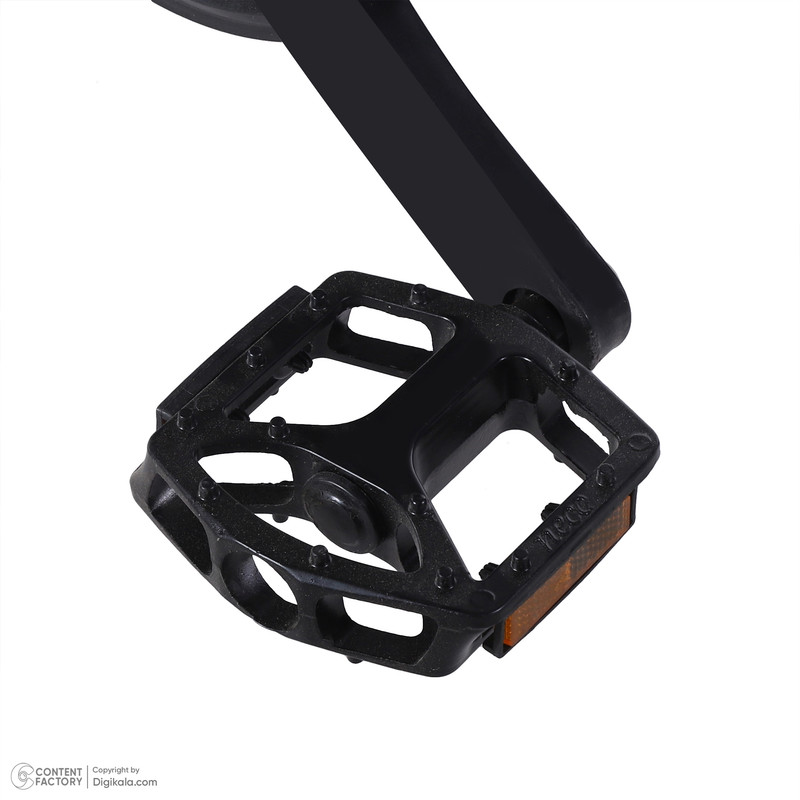 دوچرخه کوهستان آساک مدل چابک کد D-425-5262112 سایز طوقه 26 اینچ