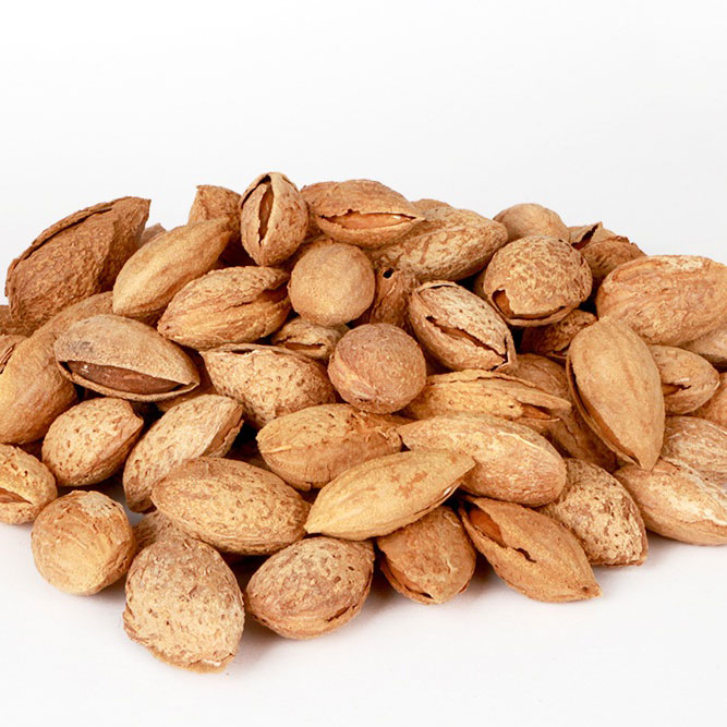 بادام پوست کاغذی خام- 500 گرم