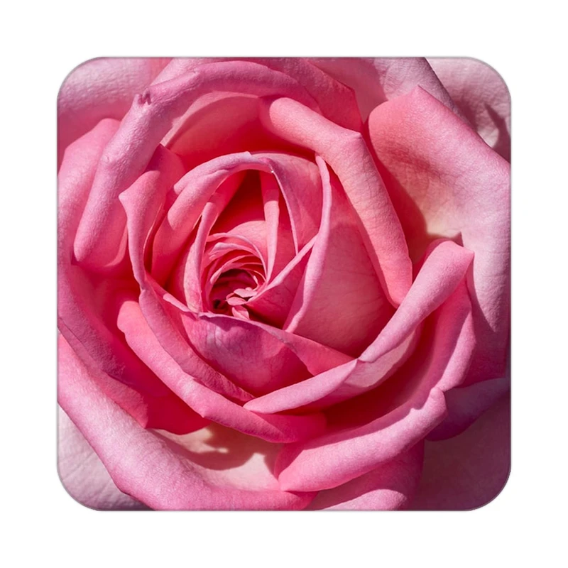 زیر لیوانی کاکتی طرح گل مدل mp18540