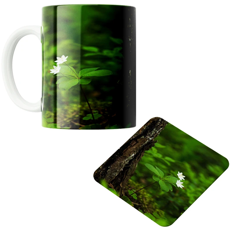 ماگ پاد آفرین مدل گلهای وحشی کد 04 به همراه زیر لیوانی