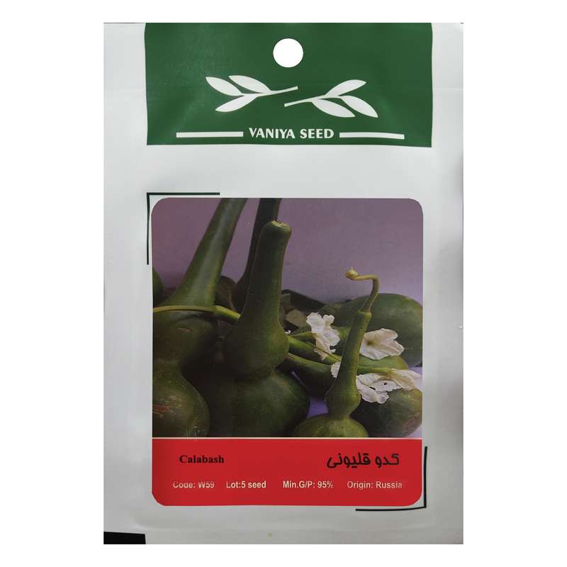 بذر کدو قلیونی وانیا سید مدل W59