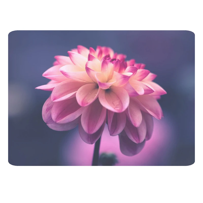 ماوس پد مدل گل کد 21 BBB