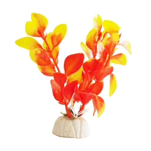 گیاه تزیینی آکواریوم کد 021