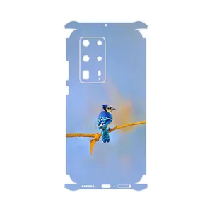 MAHOOT Cyanocitta cristata-FullSkin Cover Sticker for Huawei P40 Pro Plus