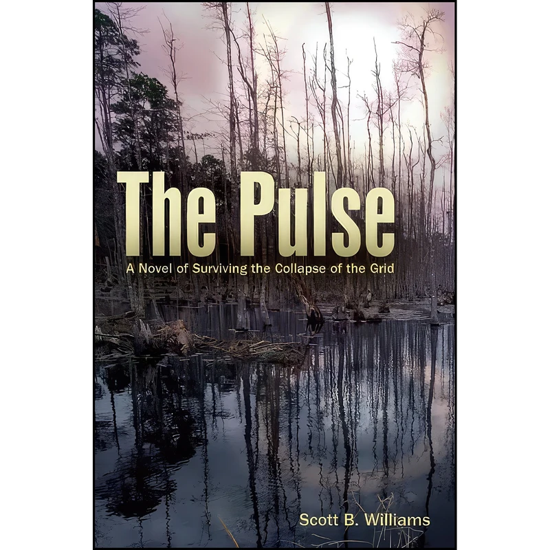 کتاب The Pulse اثر Scott B. Williams انتشارات تازه ها