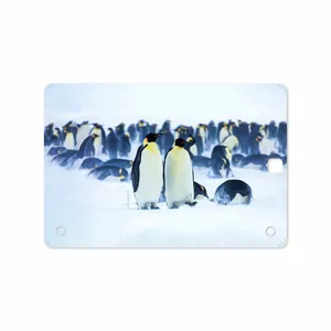 MAHOOT Penguin Cover Sticker for Samsung Galaxy Tab A 9.7 2015 T550
