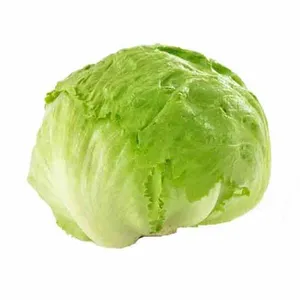 کاهو پیچ درجه یک - یک کیلوگرم