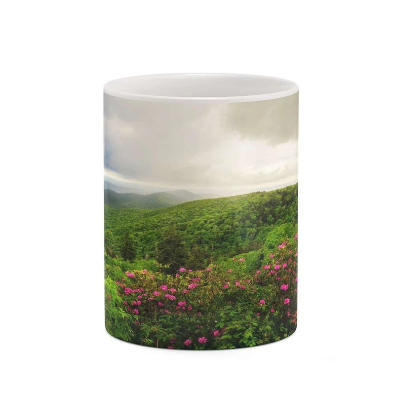 ماگ کاکتی مدل منظره کد mgh18293